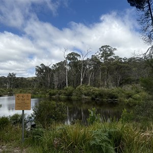 Platypus Hole Picnic Area