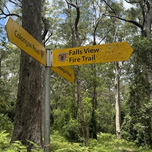 Falls View Fire Trail & Colongon Rd