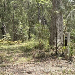 Mackays Walk