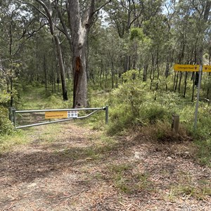 Casuarina Fire Trail