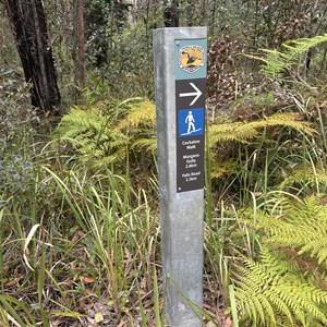 Girder Trail