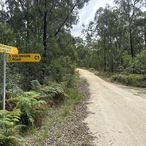 Lindrook & Colongon Rd Junction
