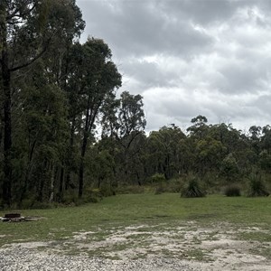 Clearing