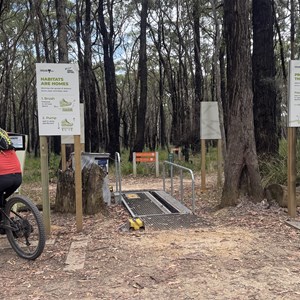 Forrest MTB Area (Yaugher)