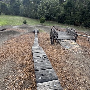 Livingstone Park MTB Area