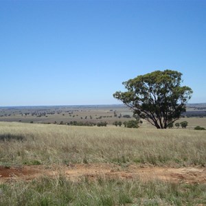 View from Mount Buckrabanyule
