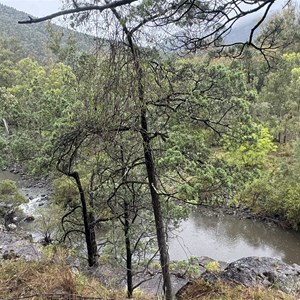Permanent Waterhole