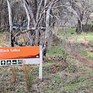 Black Sallee camp