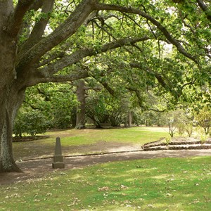 Botanic Gardens