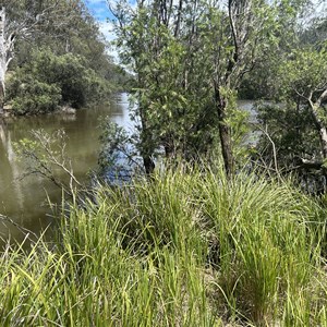 The Junction
