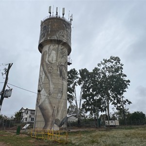 Silo Art