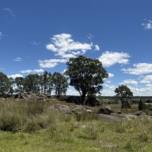 Rest Area