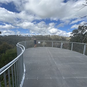 Lower Ebor Falls Lookout