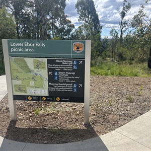 Lower Ebor Falls Picnic Area