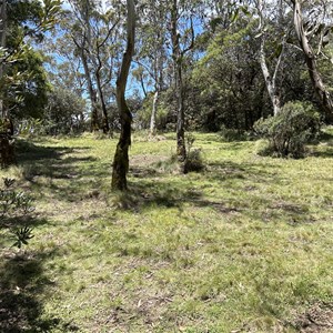 Berangutta Picnic Area