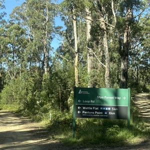 Styx Forest Way & Loop Rd