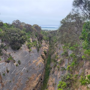 Woakwine cutting