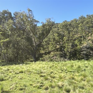 Patons 4WD Camps