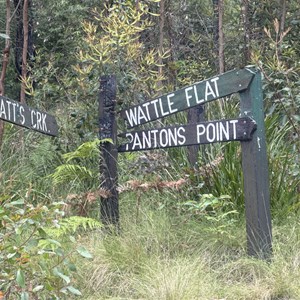 Thru to Pantons Camp & Wattle Flat
