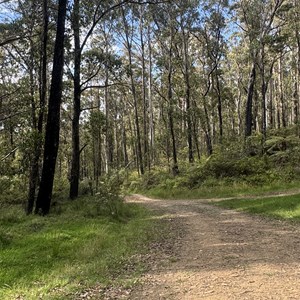 Access to Hyatts Flat Camp