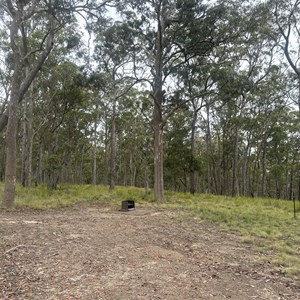 Long Point Camping Area