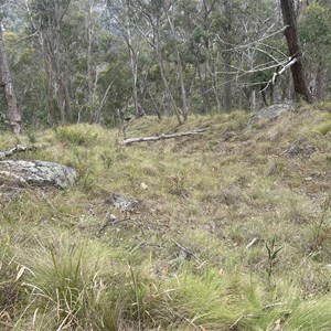 The Penstock