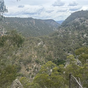 Lookout