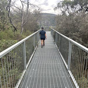 Top of Falls Lookout
