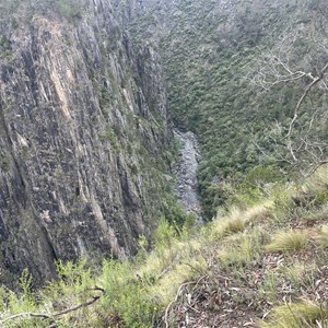 Lions Lookout