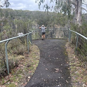 Lions Lookout