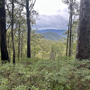 Mummel Gulf Viewing Area
