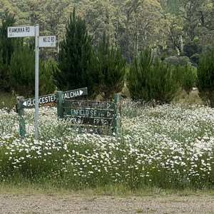 Mummel Rd & Brackendale Rd