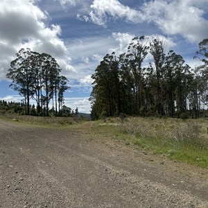 Mummel Rd & Brackendale Rd