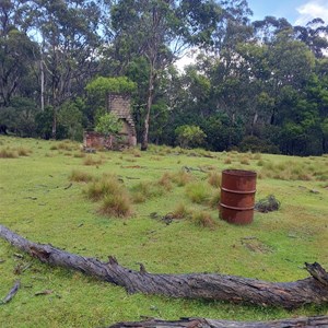 Paton's/Pierce's Hut Yellow Bog