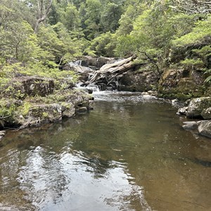 Gloucester Falls