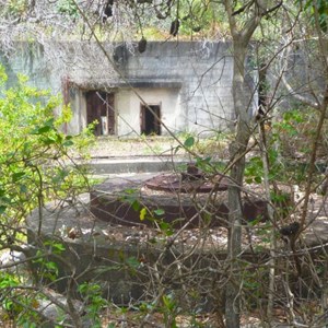 Rouse Battery Walking Track