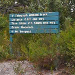 Telegraph Walking Track