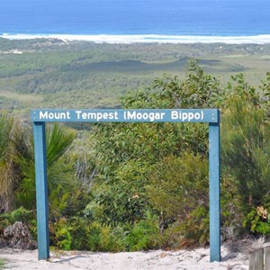Mount Tempest Lookout Track