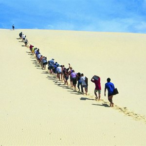 The Desert Walking Track