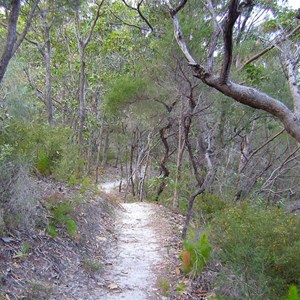 The Desert Walking Track