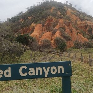 Red Canyon