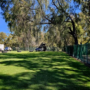 Moree Showground Caravan and Camping