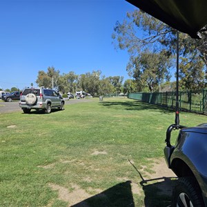 Moree Showground Caravan and Camping