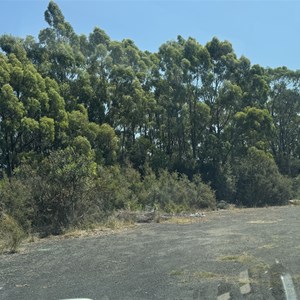 Penguin MTB Parking