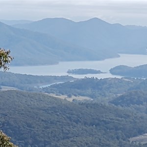 Mitchells Track Howqua Vic