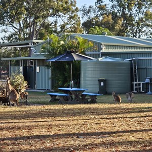 Burrum Heads Tavern
