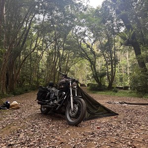 Bush camp on river