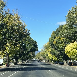 Ararat