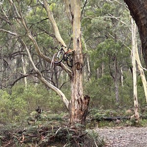 Bayview Road Network - Tasman Peninsula Mountain Bike Trails