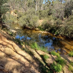 Reedy creek camp